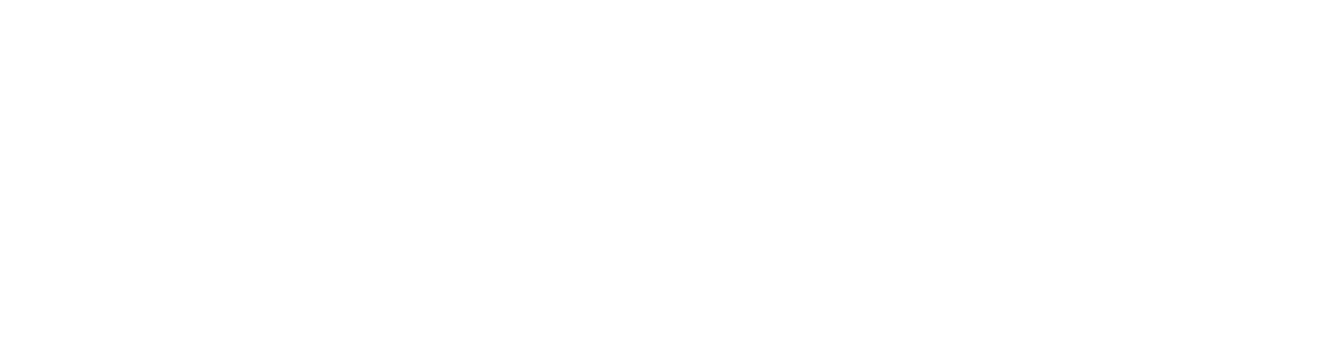 Faresin Logo Bianco